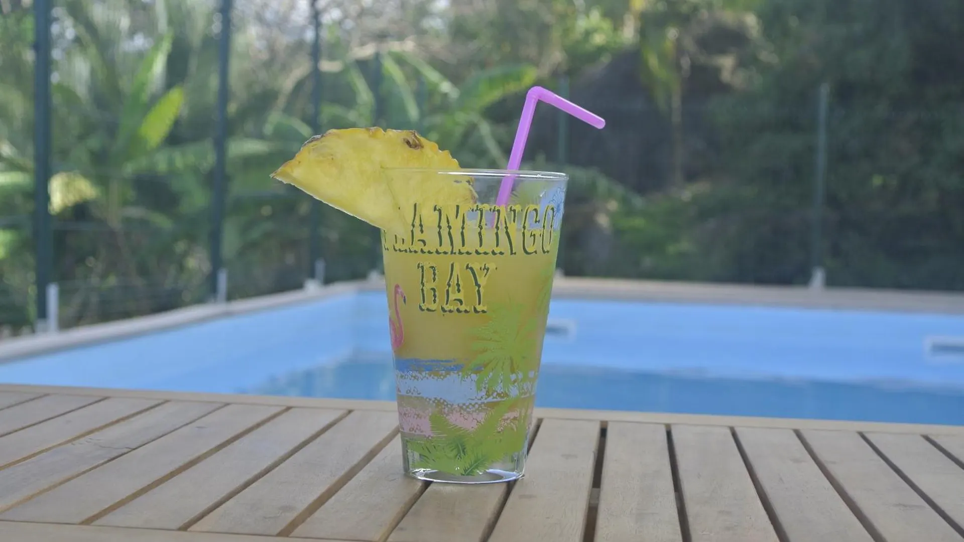 Lejlighed Joli T2 Au Calme Vue Mer Avec Grande Piscine Le François